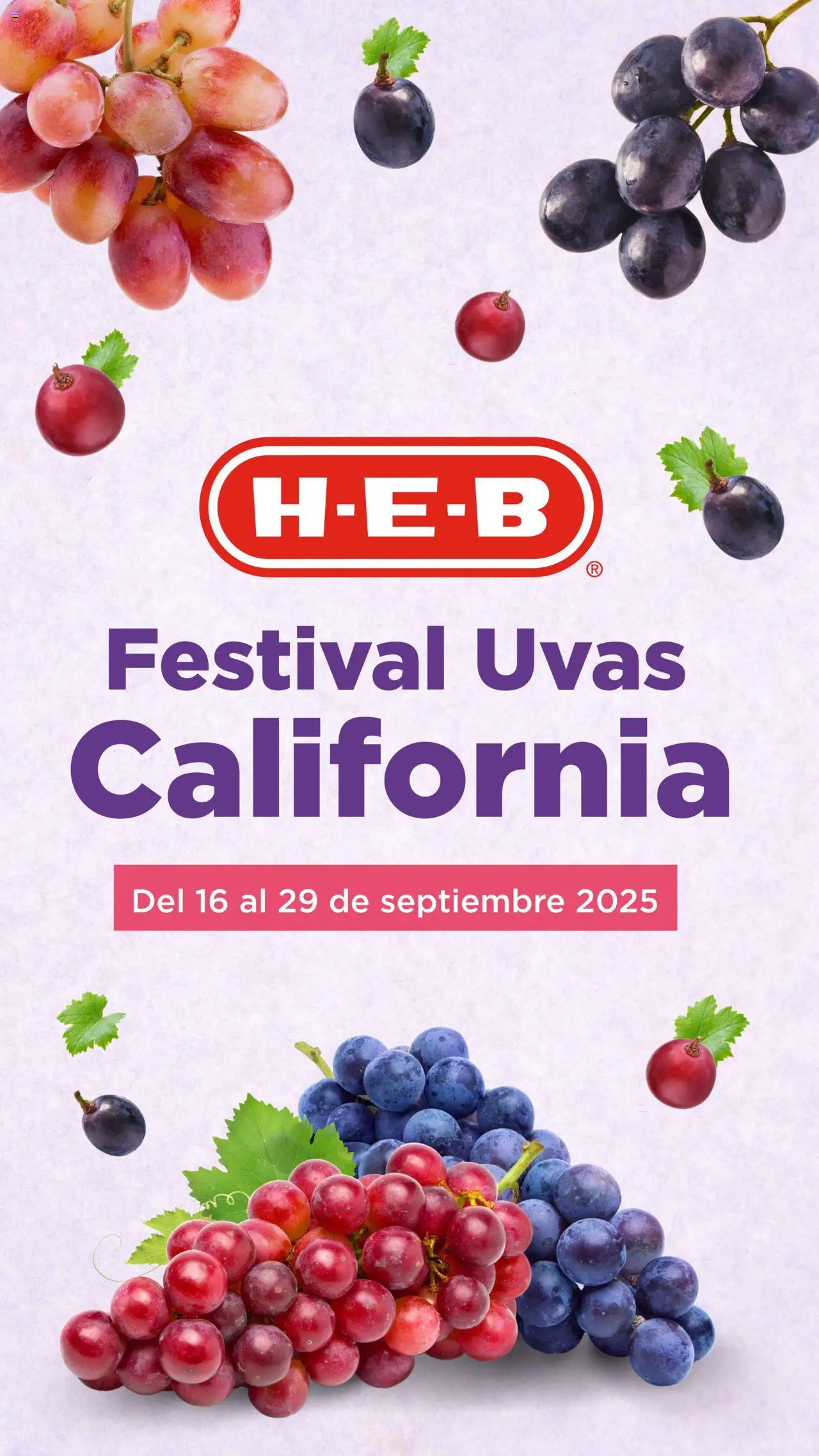 H-E-B - Folleto Festival Uvas - página 1- válido desde 16/09/2025