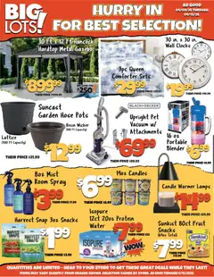 Preview Big Lots Weekly Ad valid from 04/09/2026
