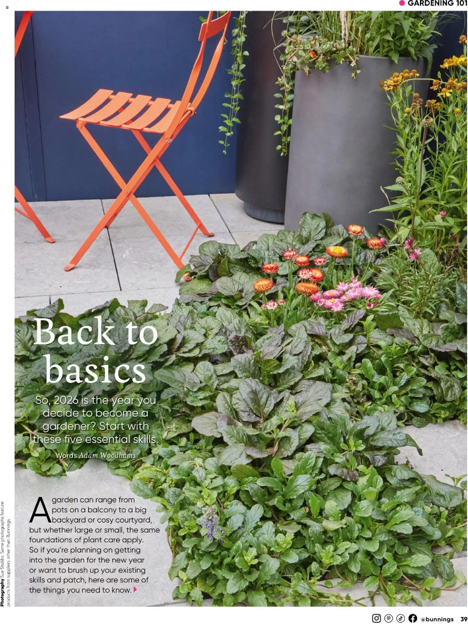 Catalogue Bunnings Warehouse January - page 39- valid from 01/01/2026