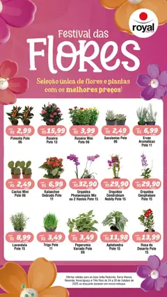 Pré-visualização Royal Supermercados - Ofertas Festival das Flores válida a partir de 24/10/2025