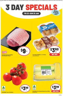 IGA catalogue preview - valid from 23/01/2026