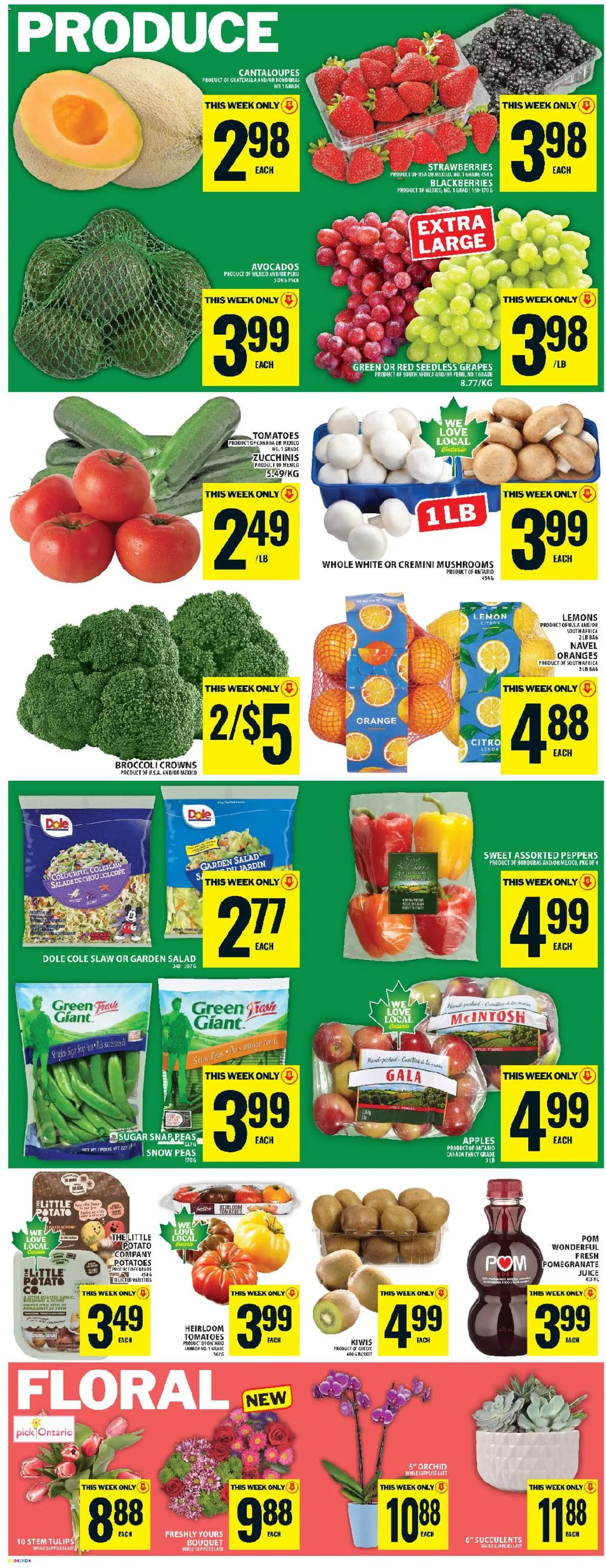Food Basics weekly flyer / circulaire - page 7- valid from Feb 26, 2026