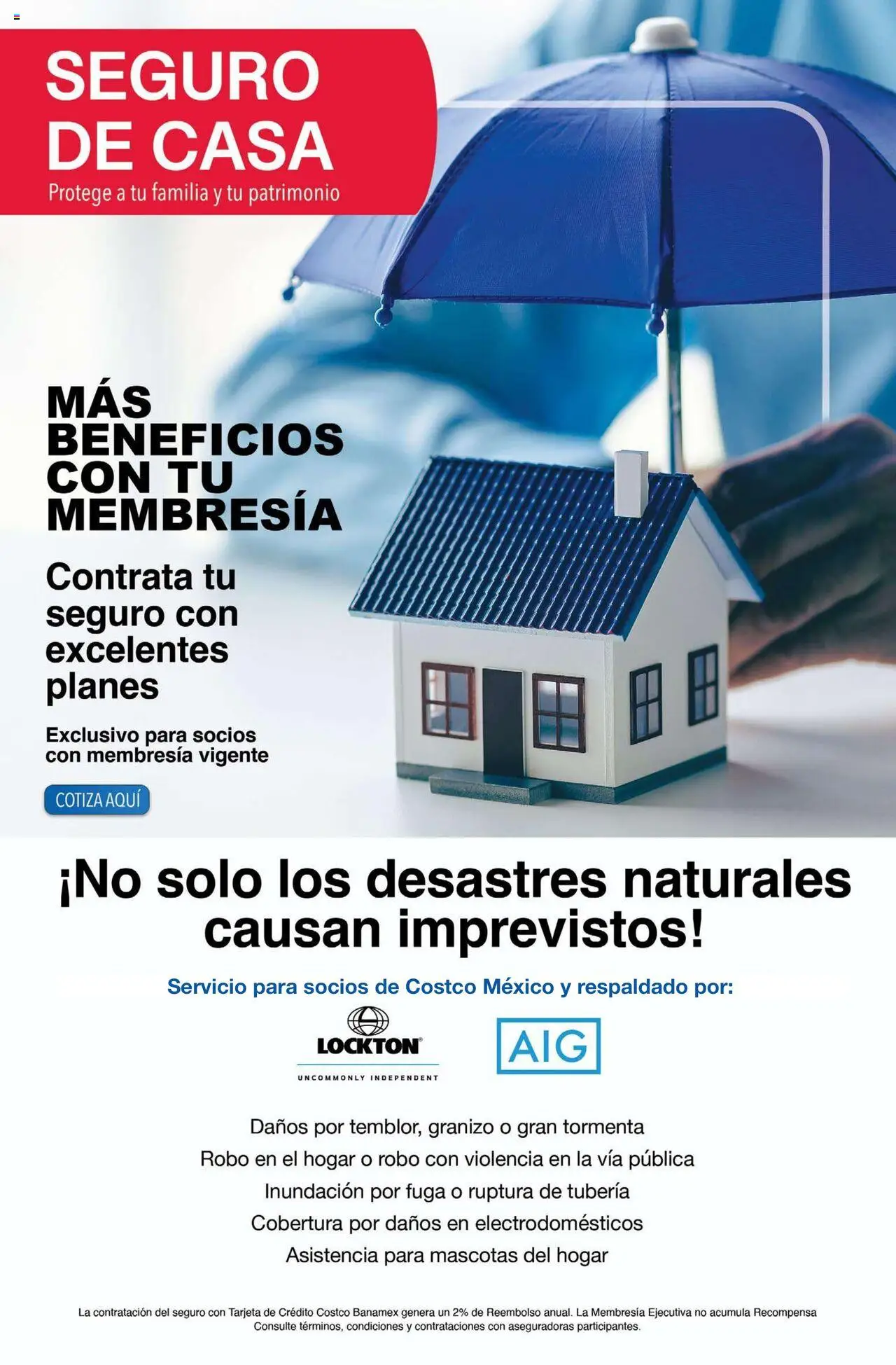 Costco catálogo Julio - página 31- válido desde 07/07/2025