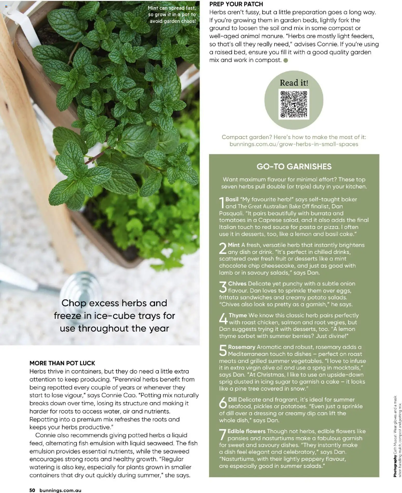 Catalogue Bunnings Warehouse December  - page 50- valid from 01/12/2025