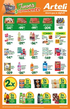 Arteli folleto Express válido desde 06/11/2025