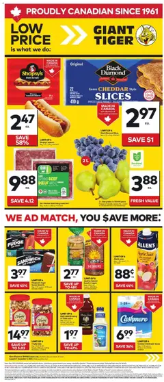 Preview Giant Tiger weekly flyer valid from Aug 27, 2025