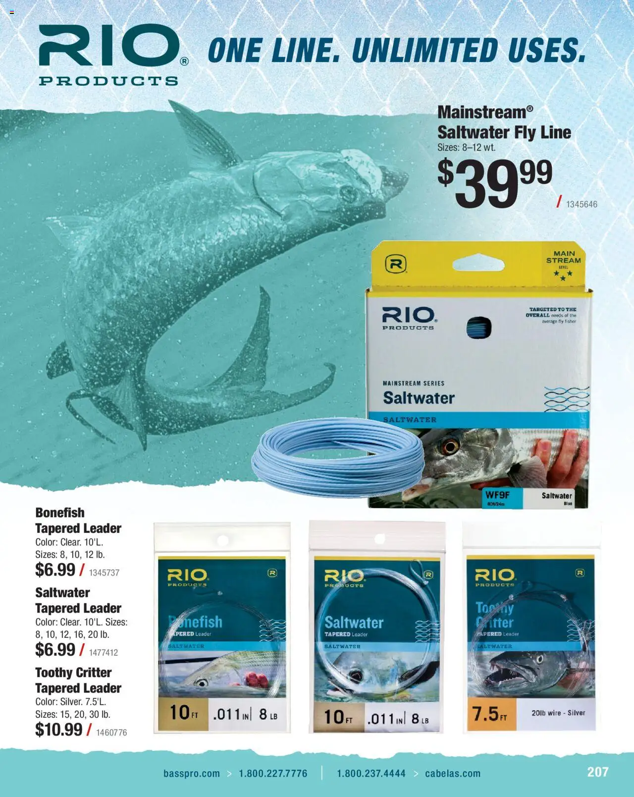 Bass Pro Saltwater Specialist 25 - page 207- valid from 01/01/2025
