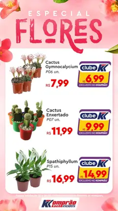 Pré-visualização Komprao Atacadista - Ofertas Flores válida a partir de 23/01/2026