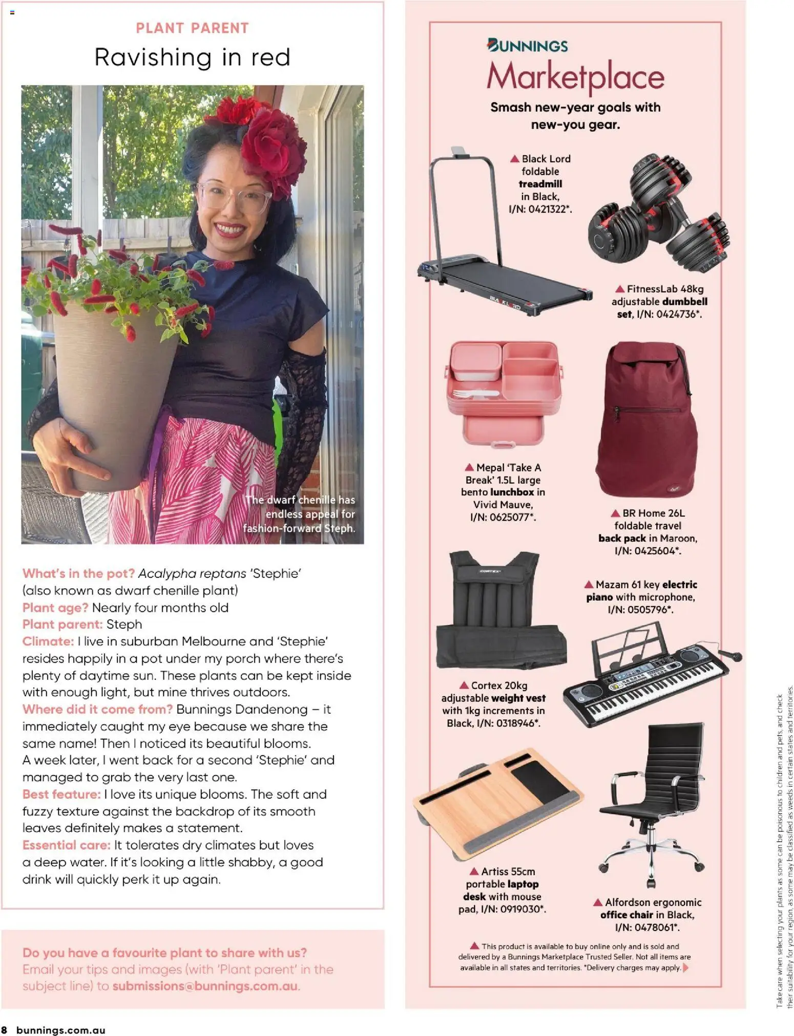 Catalogue Bunnings Warehouse January - page 8- valid from 01/01/2026