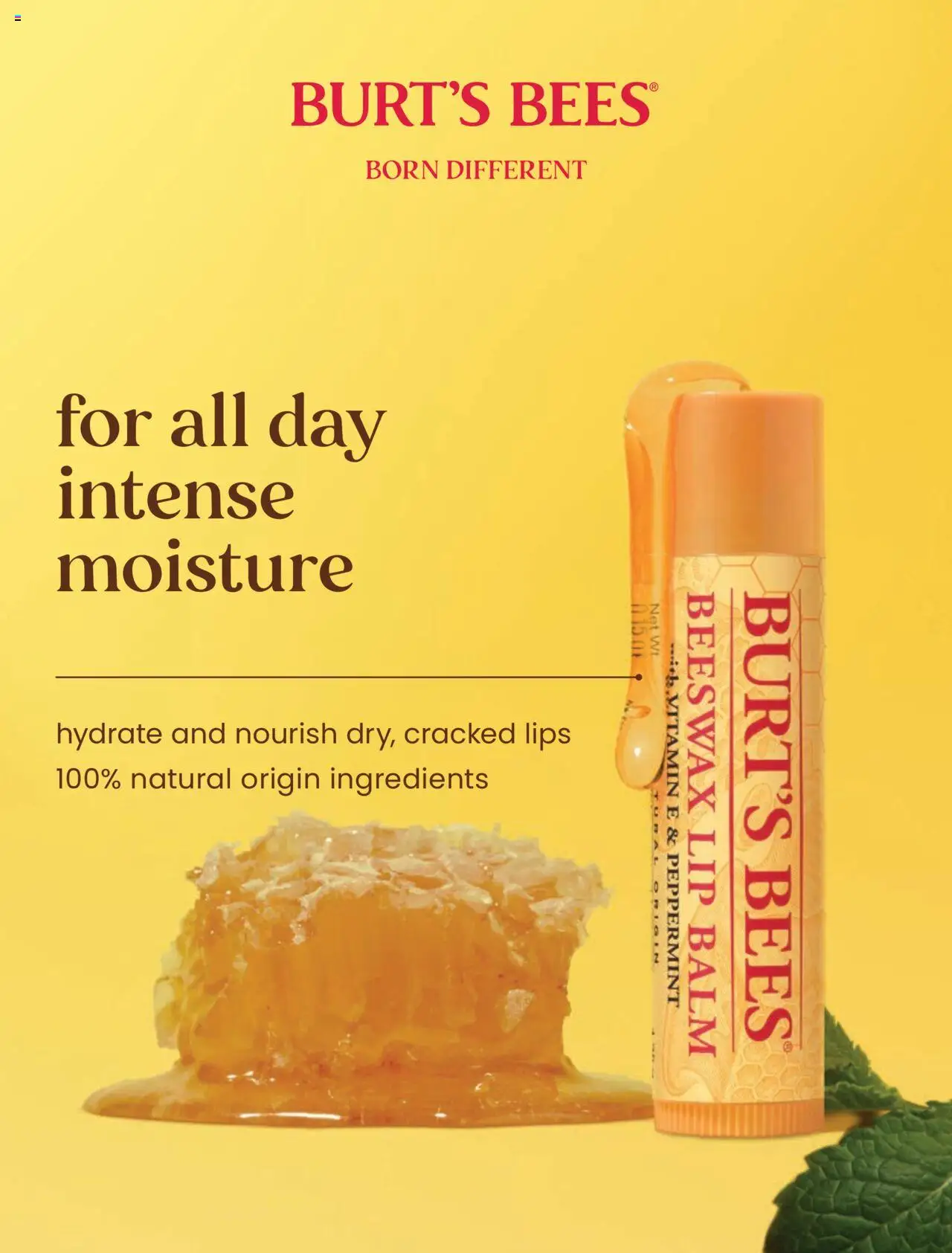 Coles Autumn 2025 - page 22- valid from 07/04/2025