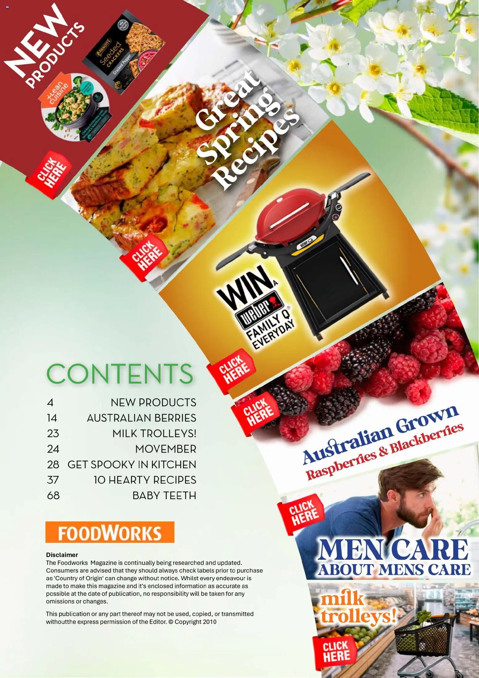 Foodworks Magazine - page 3- valid from 01/10/2025