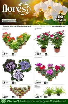 Pré-visualização Master - Ofertas Flores válida a partir de 16/01/2026