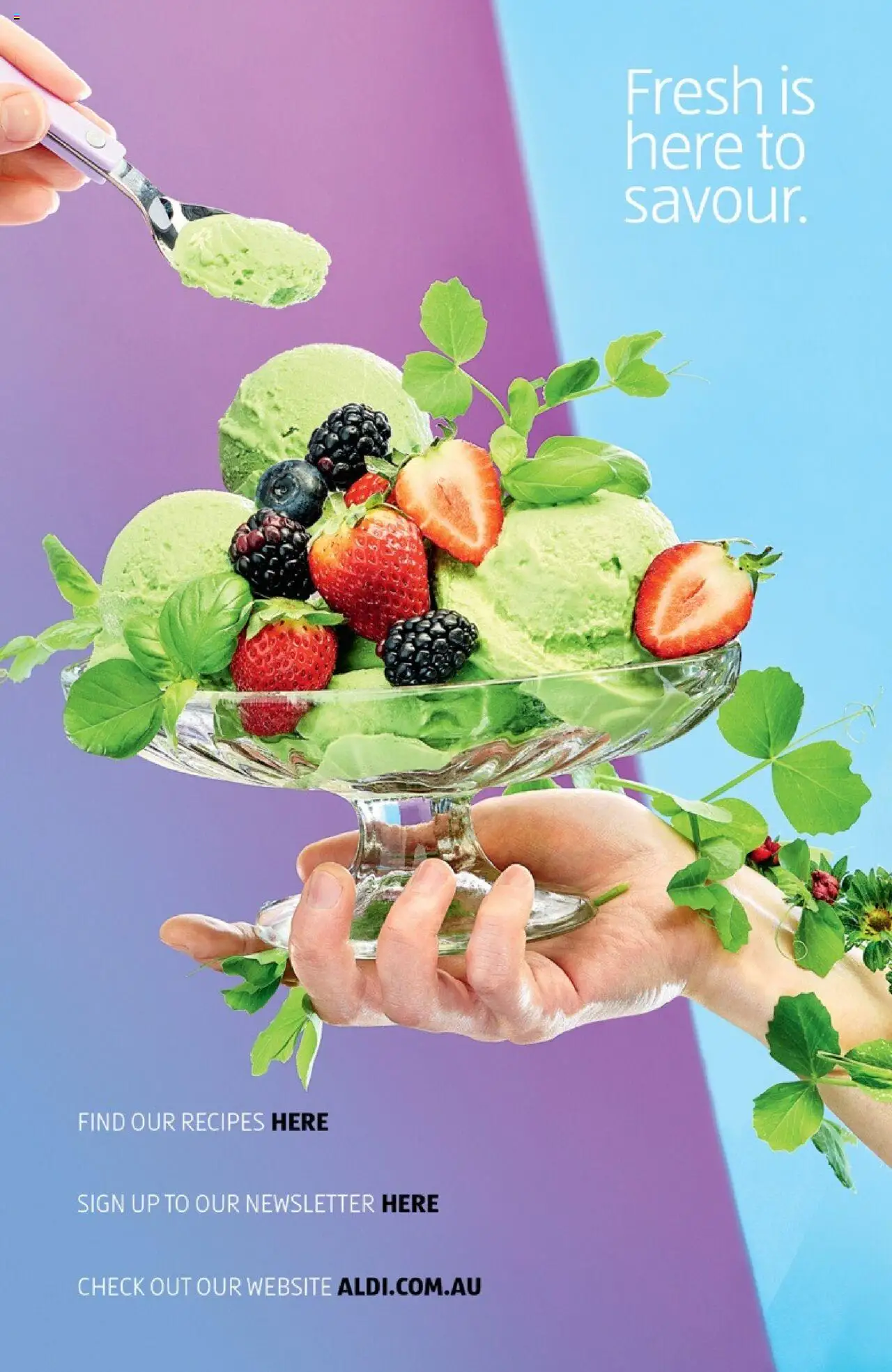 Aldi Here for the Spring - page 14- valid from 17/09/2025