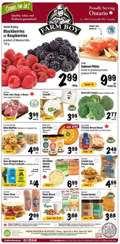 Preview Farm Boy weekly flyer / circulaire valid from Apr 23, 2026