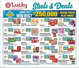 Preview Lucky Supermarkets Big Book of Savings valid from 10/08/2025