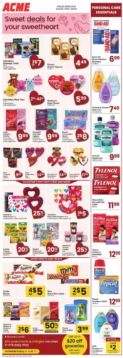 Preview Acme Ad valid from 02/13/2026