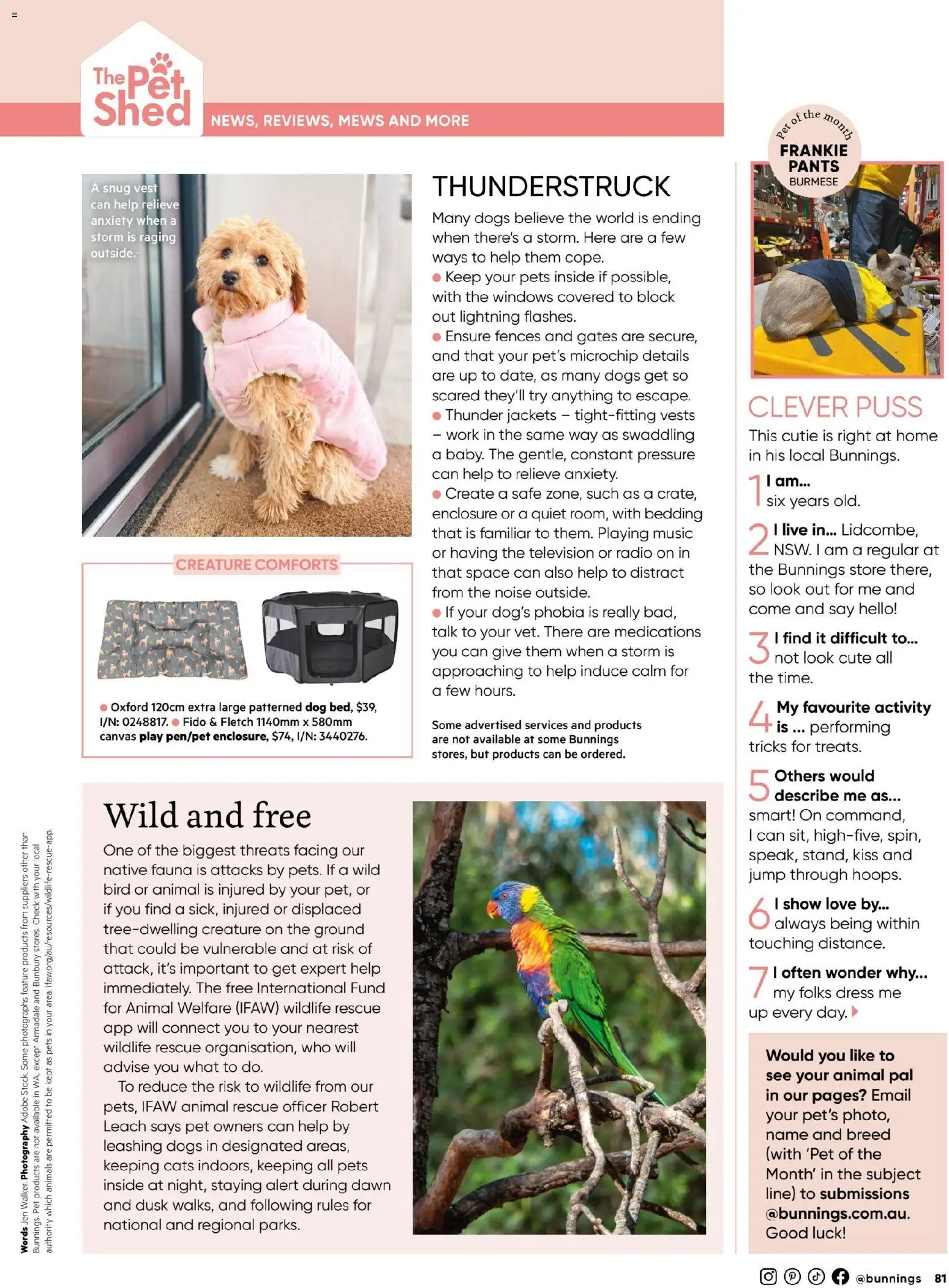 Catalogue Bunnings Warehouse November  - page 81- valid from 01/11/2025