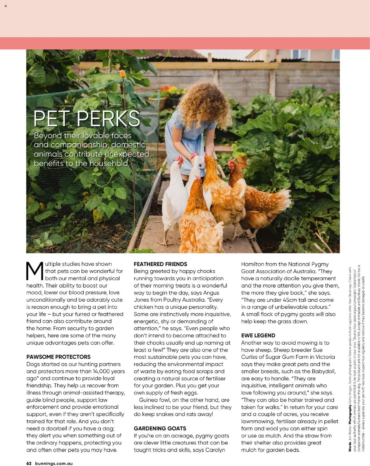 Catalogue Bunnings Warehouse January - page 62- valid from 01/01/2026