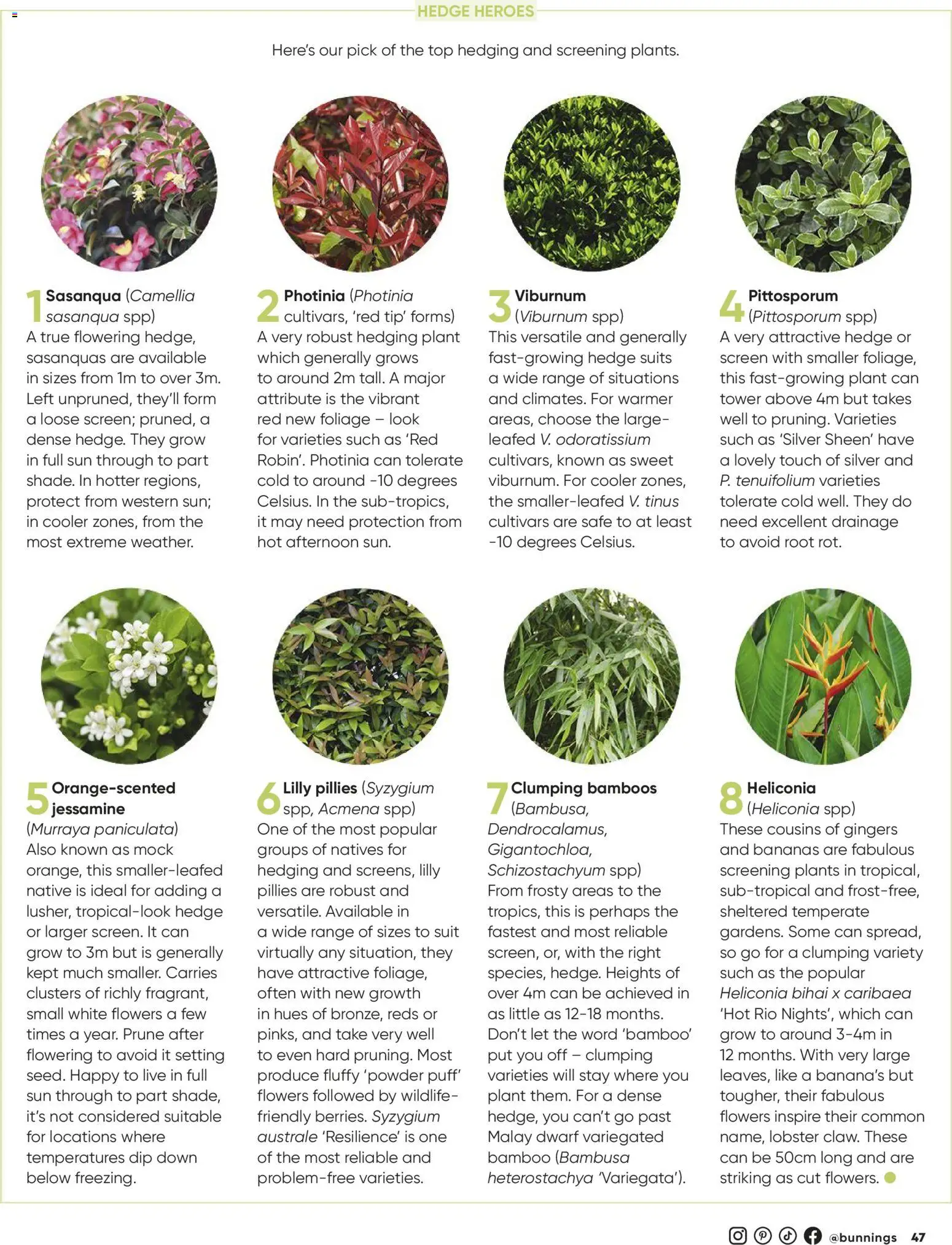 Catalogue Bunnings Warehouse March - page 47- valid from 01/03/2026