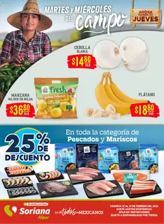 Soriana folleto válido desde 17/02/2026