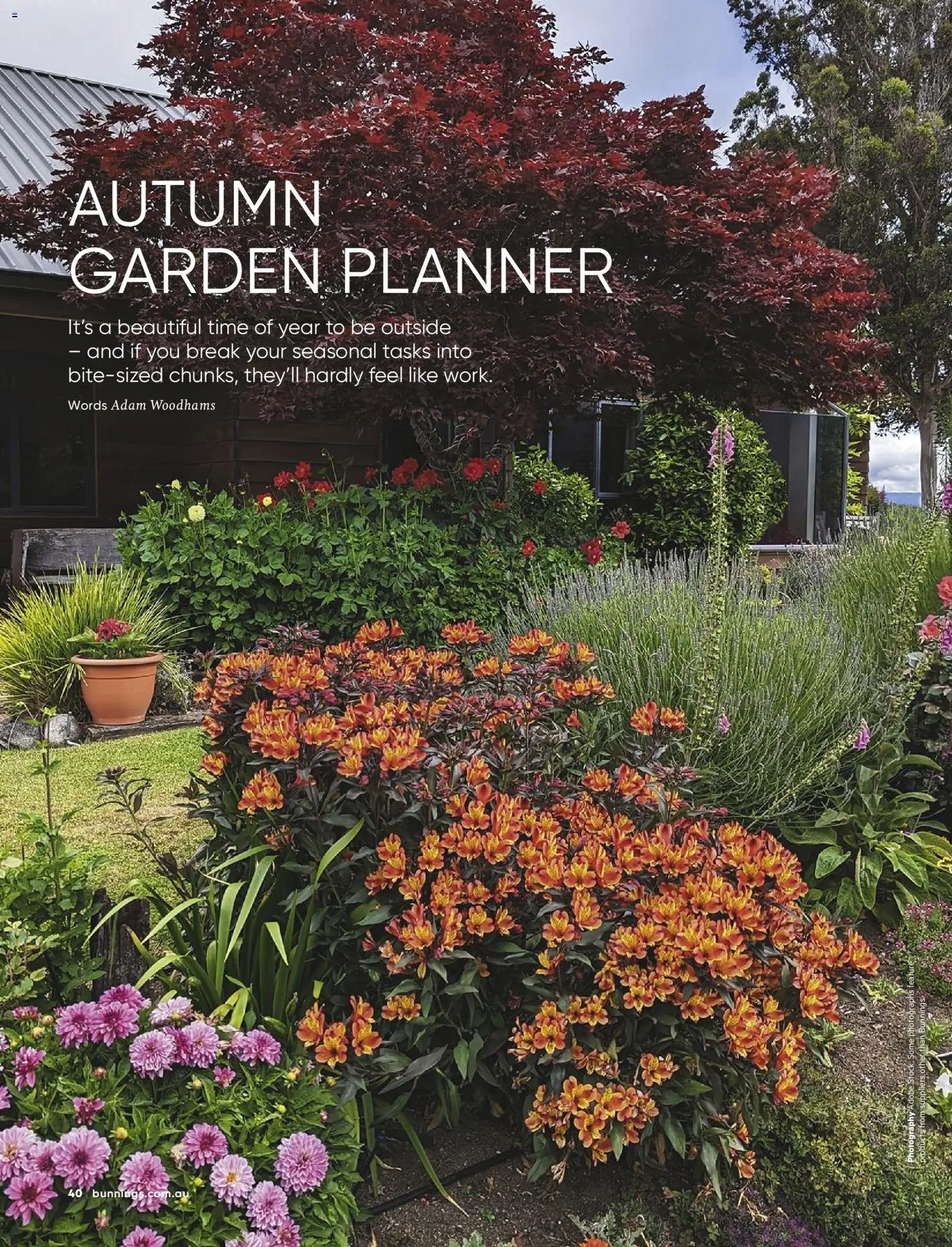 Catalogue Bunnings Warehouse March - page 40- valid from 01/03/2026