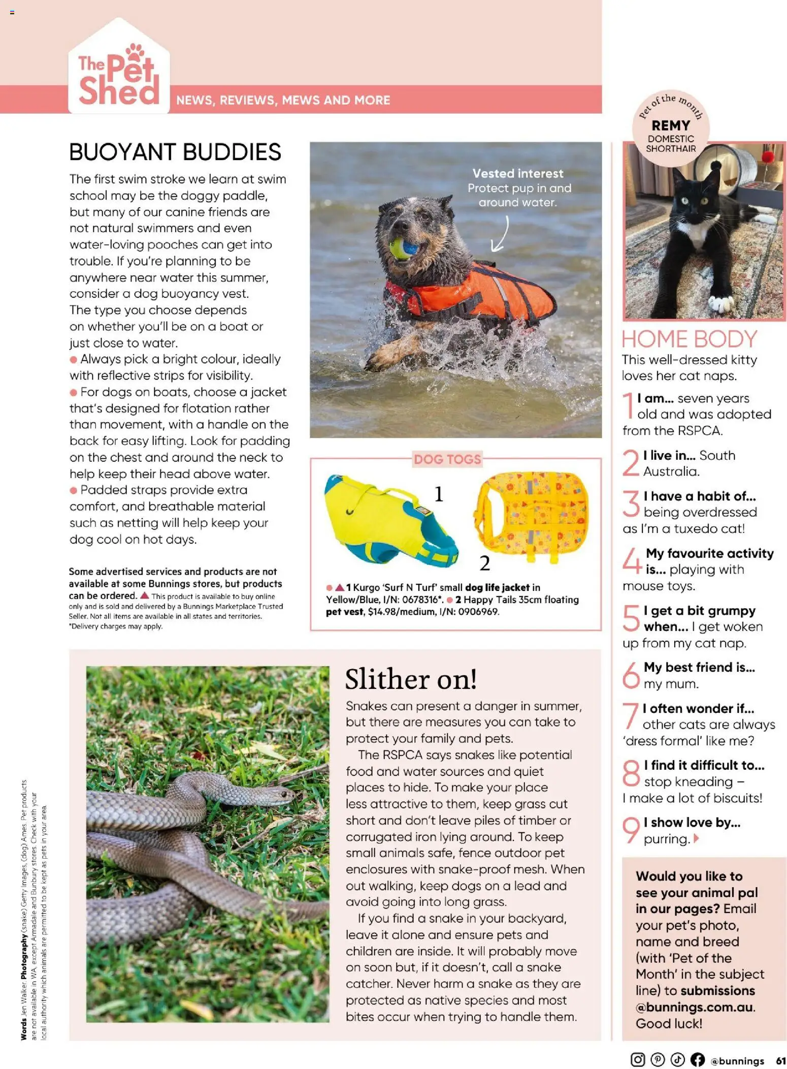 Catalogue Bunnings Warehouse January - page 61- valid from 01/01/2026