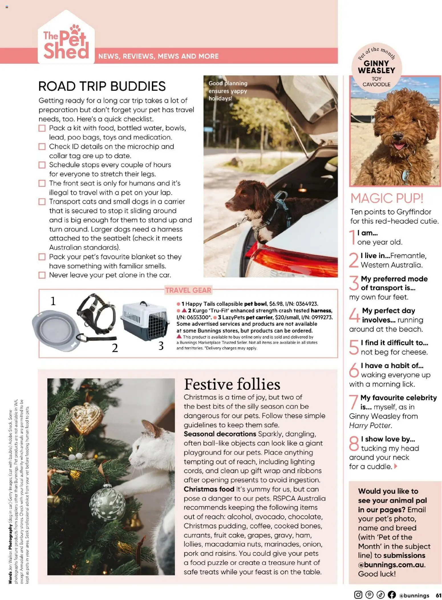 Catalogue Bunnings Warehouse December  - page 61- valid from 01/12/2025