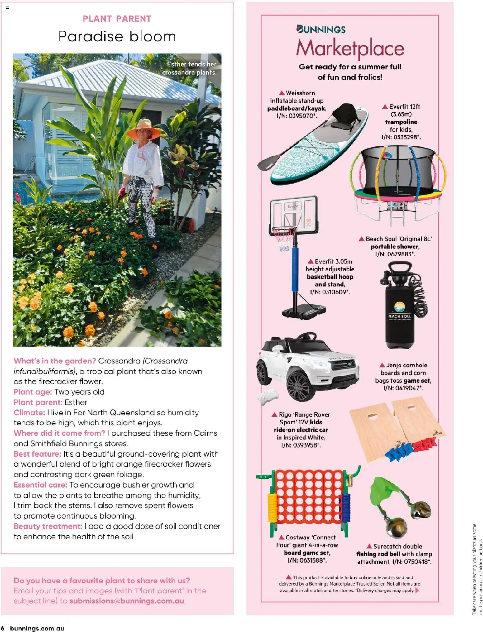 Catalogue Bunnings Warehouse December  - page 6- valid from 01/12/2025