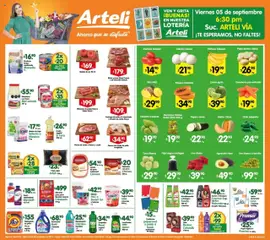 Arteli - Folleto Express válido desde 02/09/2025