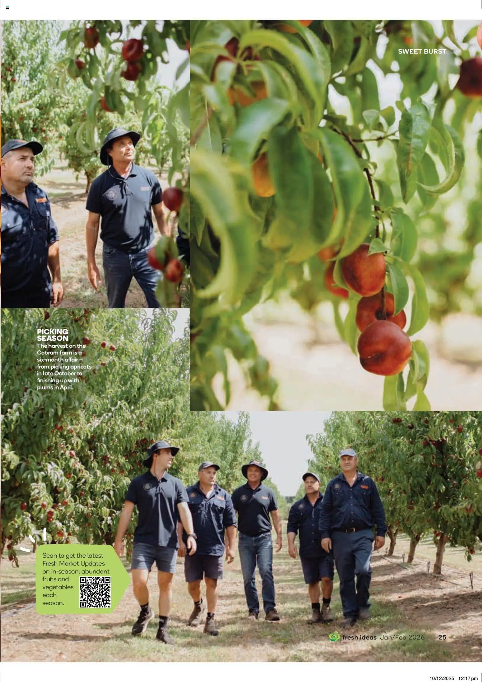 Woolworths Fresh Ideas Magazine - page 25- valid from 14/01/2026