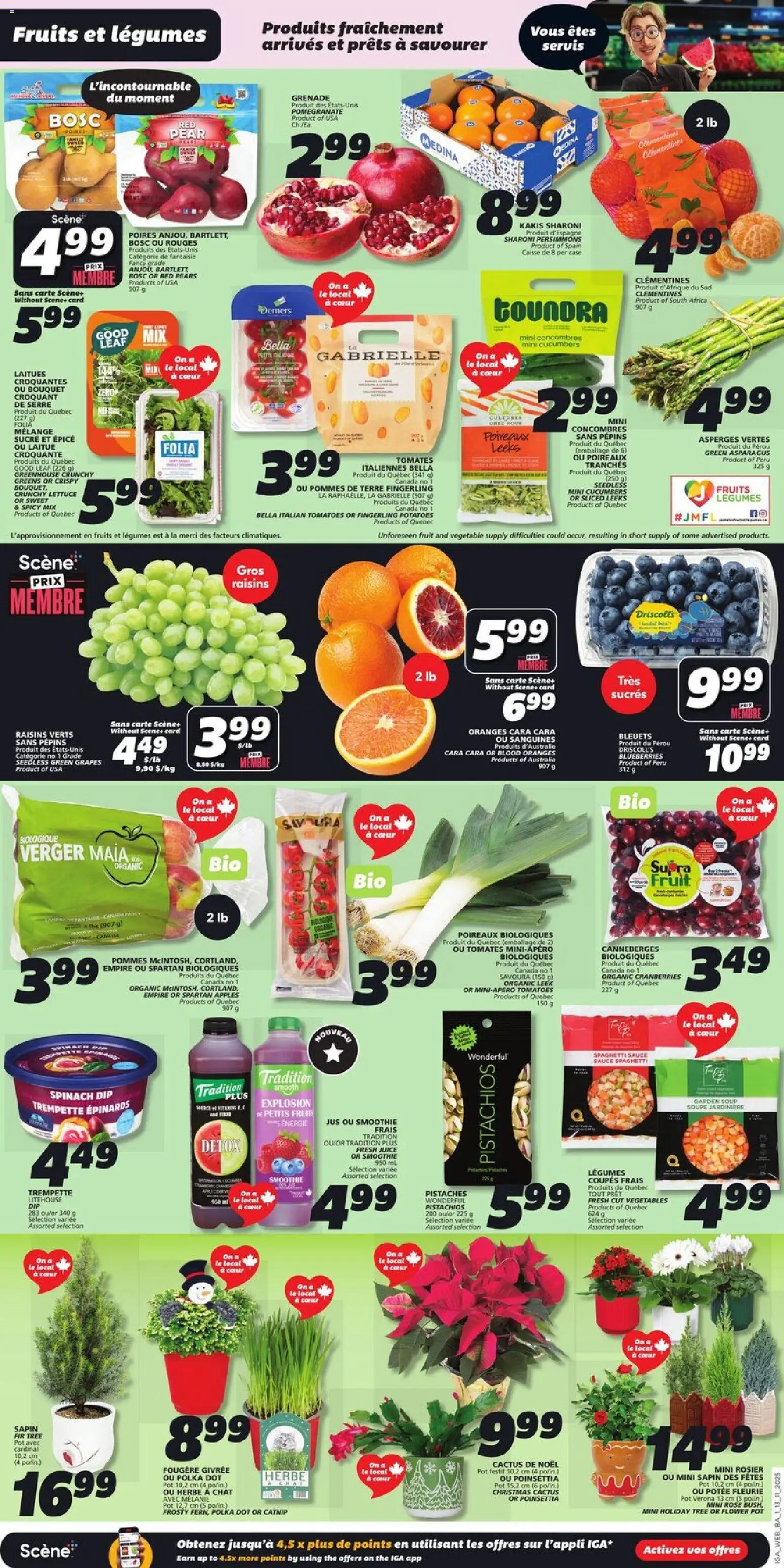 IGA weekly flyer / circulaire - page 3- valid from Nov 13, 2025