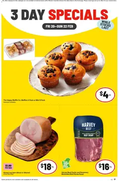 IGA catalogue preview - valid from 20/02/2026