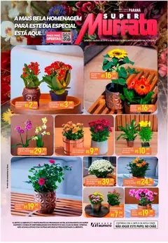 Pré-visualização Super Muffato - Ofertas Flores válida a partir de 27/10/2025
