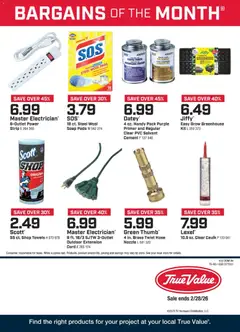Preview True Value February Bargains of the Month valid from 02/01/2026