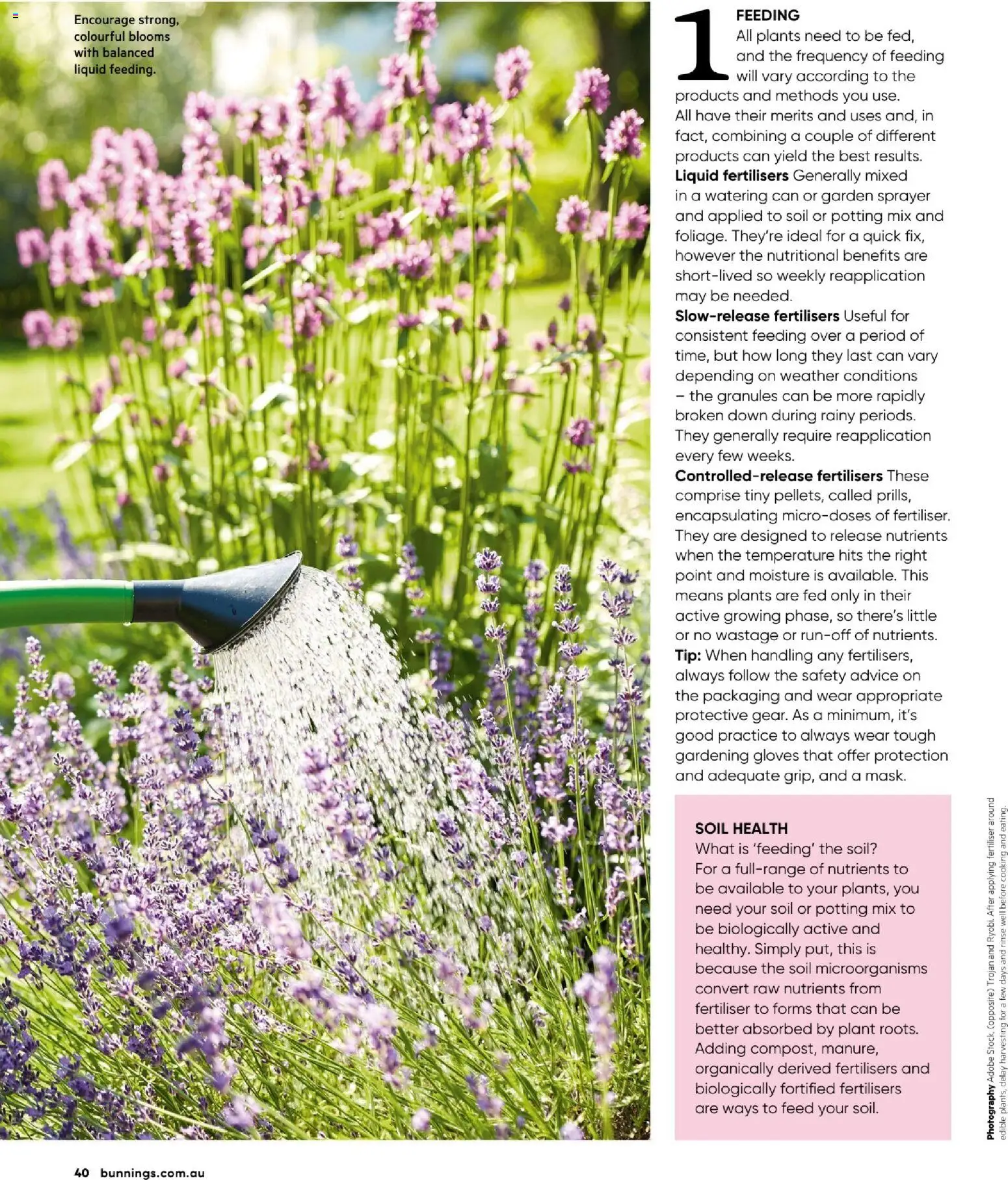 Catalogue Bunnings Warehouse January - page 40- valid from 01/01/2026