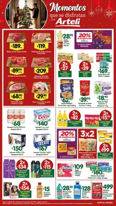 Arteli folleto válido desde 06/12/2025