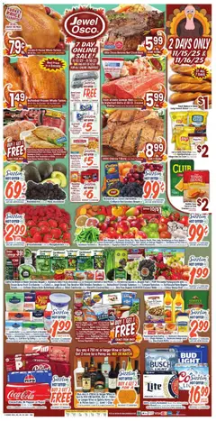 Preview Jewel Osco Weekly Ad - IL valid from 11/12/2025