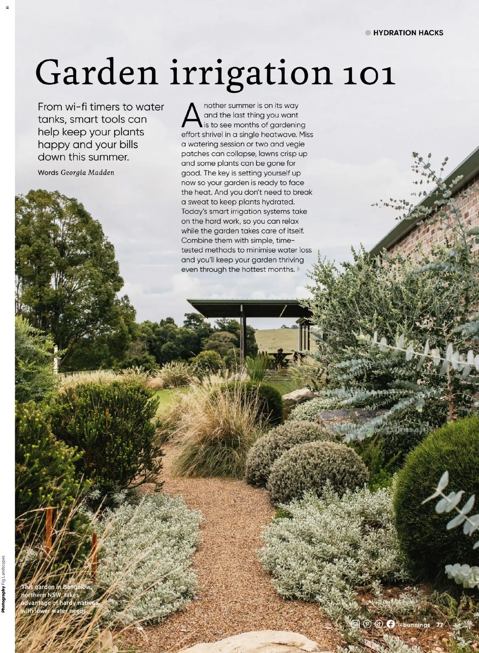 Catalogue Bunnings Warehouse November  - page 77- valid from 01/11/2025