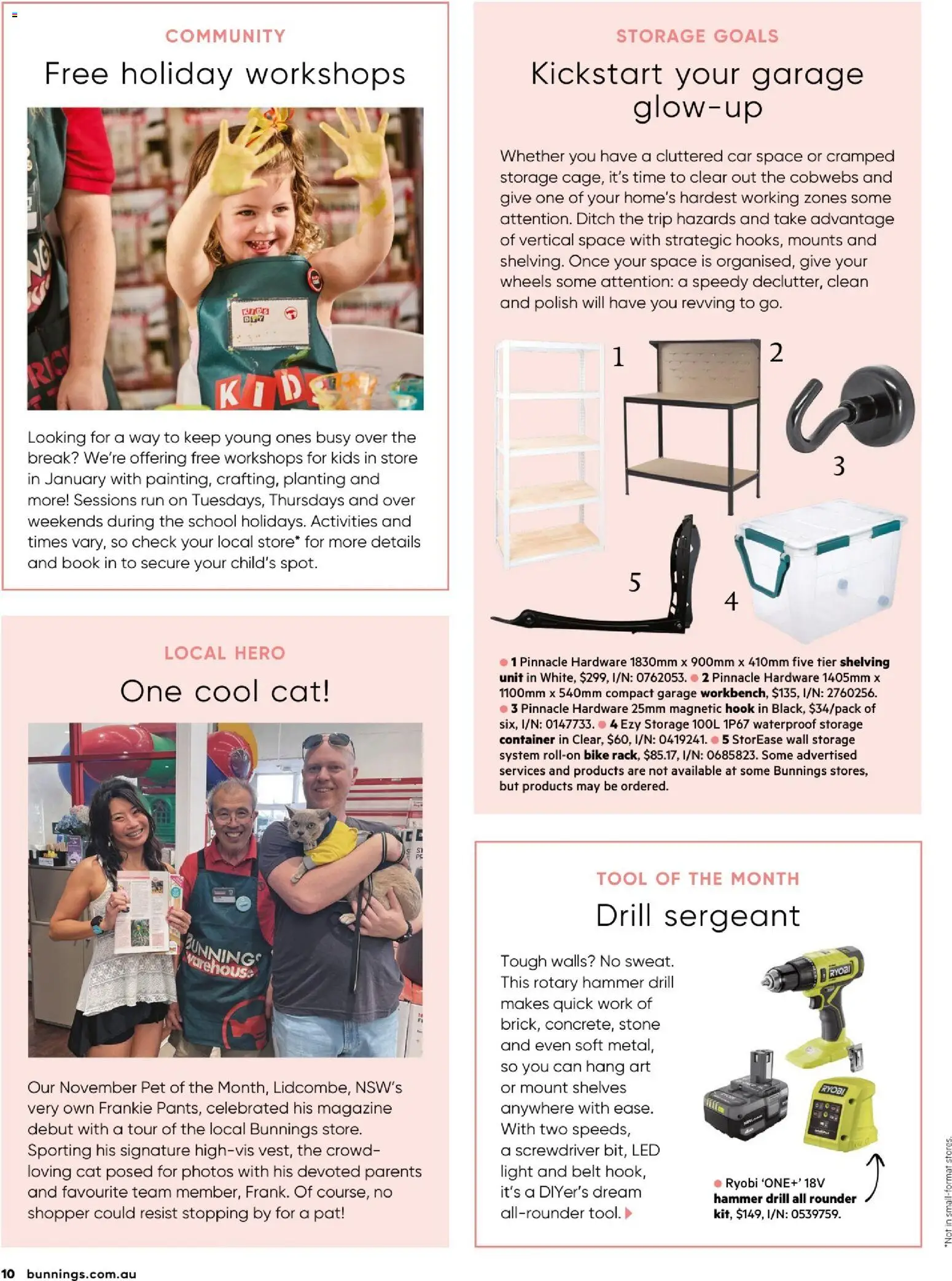 Catalogue Bunnings Warehouse January - page 10- valid from 01/01/2026