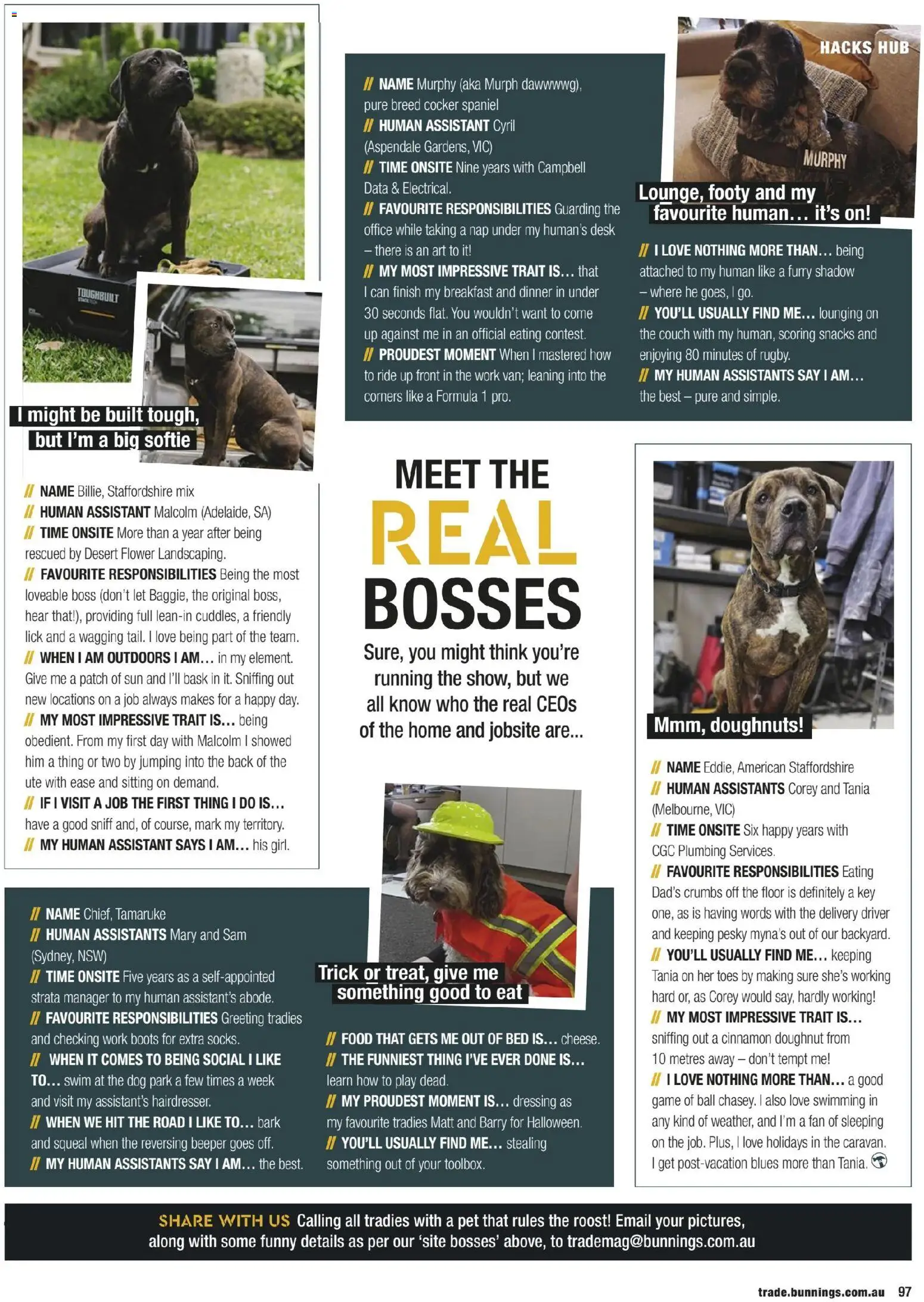 Bunnings Warehouse Trade Magazine November 2025 - page 97- valid from 01/11/2025