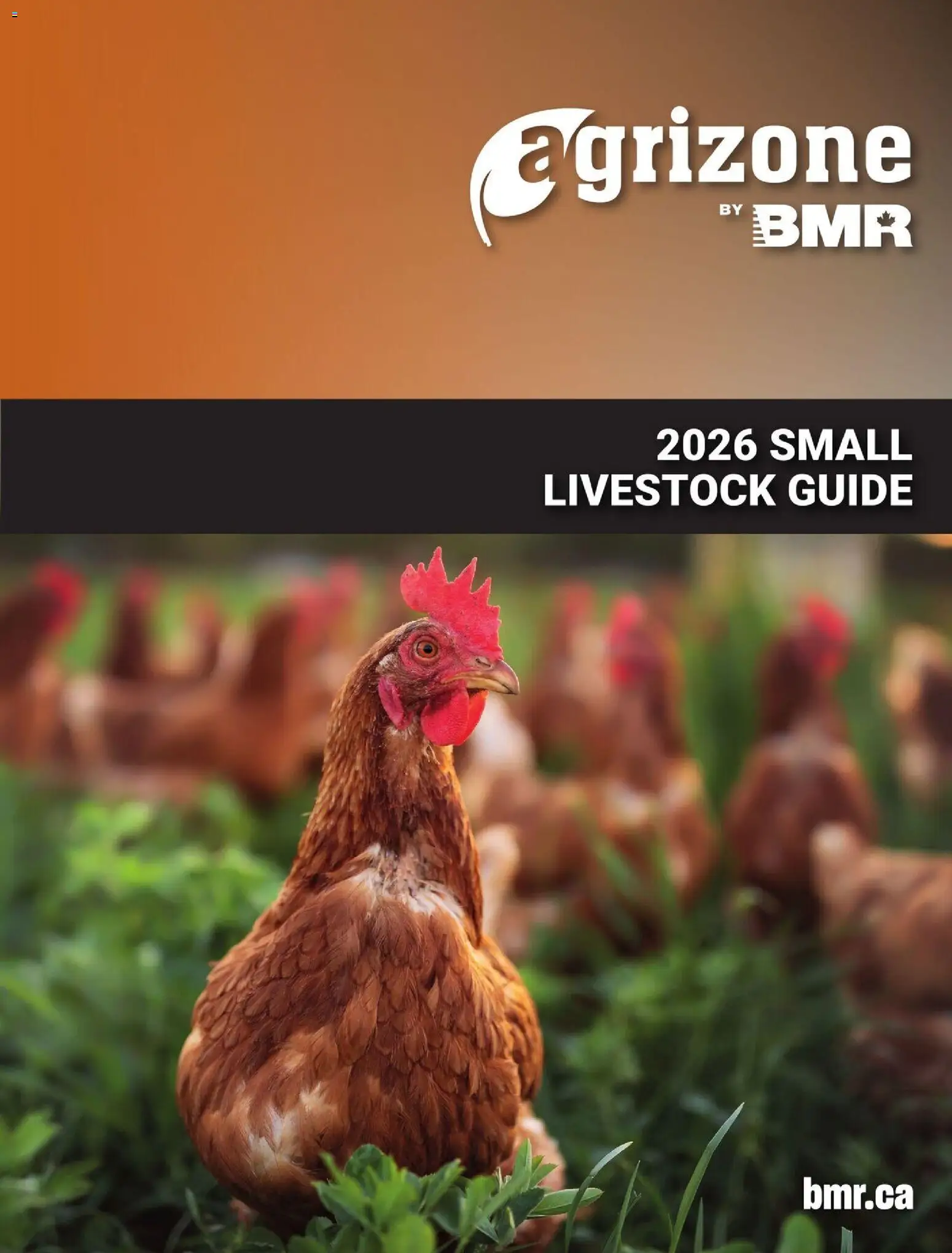 BMR - Agrizone - 2026 Small Livestock Guide - page 1- valid from Feb 6, 2026