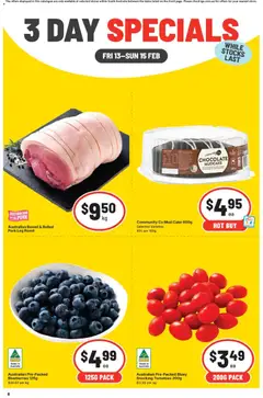 IGA catalogue preview - valid from 13/02/2026