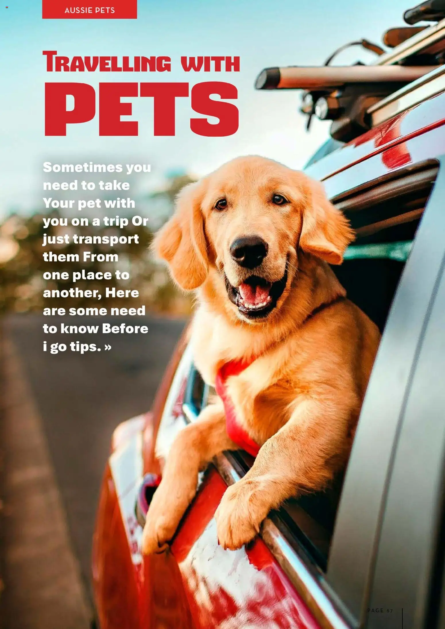 Foodworks Magazine - page 67- valid from 06/01/2026