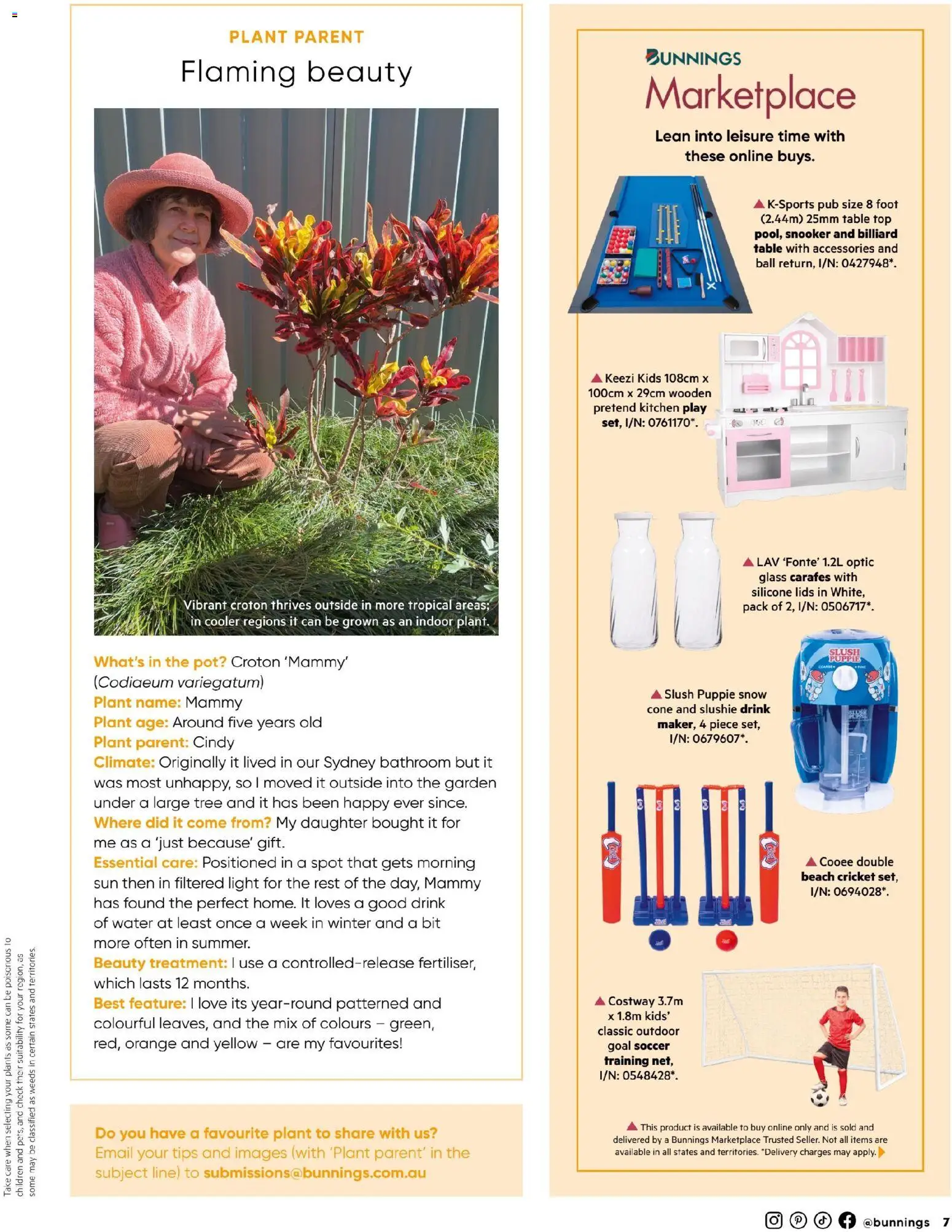 Catalogue Bunnings Warehouse November  - page 7- valid from 01/11/2025