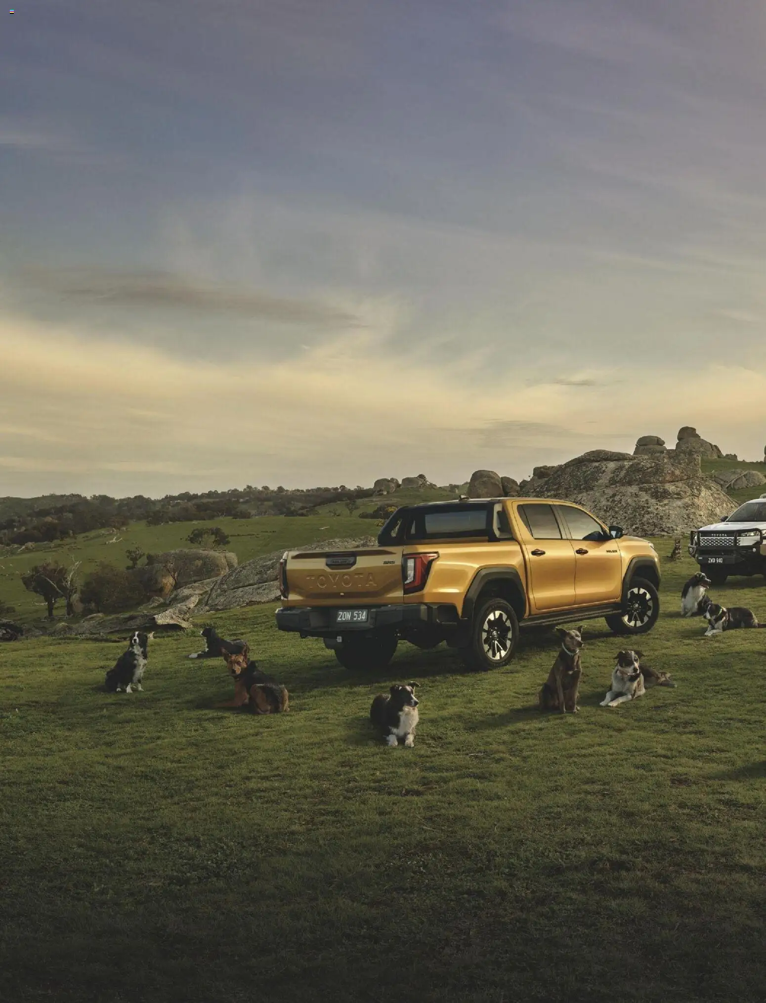 Catalogue Bunnings Warehouse January - page 2- valid from 01/01/2026