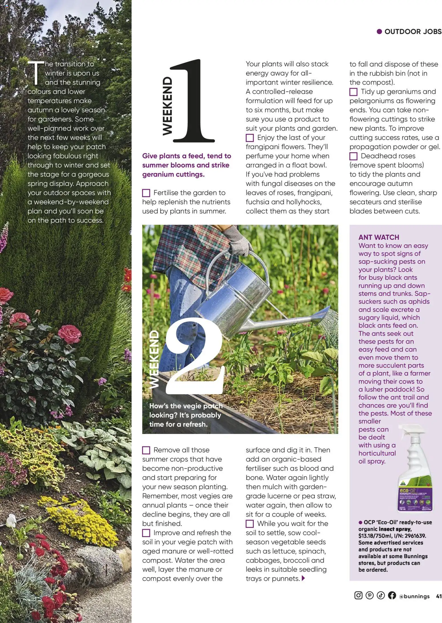 Catalogue Bunnings Warehouse March - page 41- valid from 01/03/2026