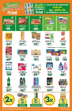 Arteli - Folleto Express válido desde 04/09/2025