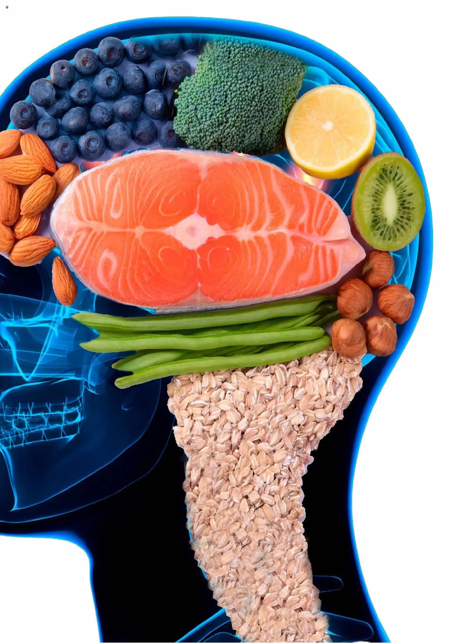 Drakes E-Mag - page 59- valid from 01/01/2026