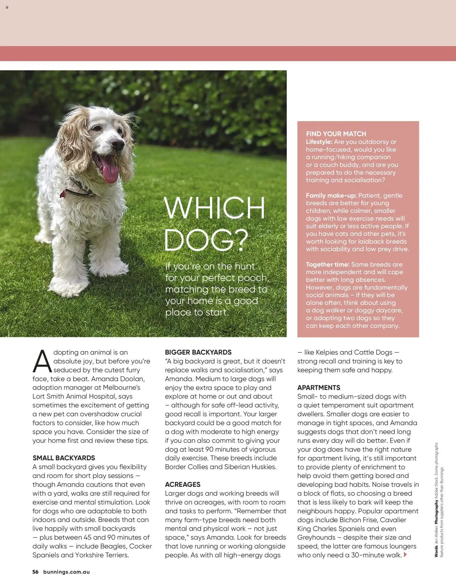 Catalogue Bunnings Warehouse March - page 56- valid from 01/03/2026