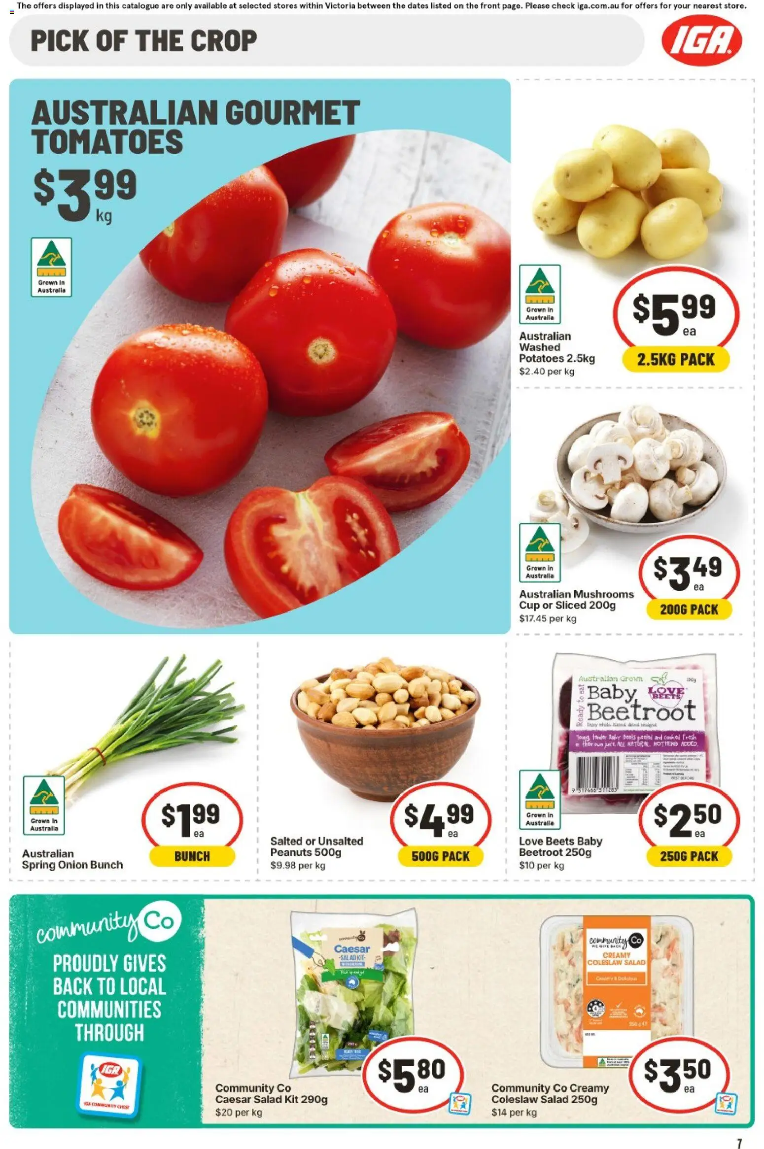 IGA  Catalogue  - page 7- valid from 21/01/2026